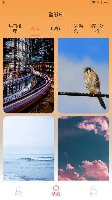 图标壁纸秀(桌面美化工具) 图标壁纸秀(桌面美化工具)