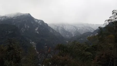大美筠连(筠连生活服务平台) 大美筠连(筠连生活服务平台)