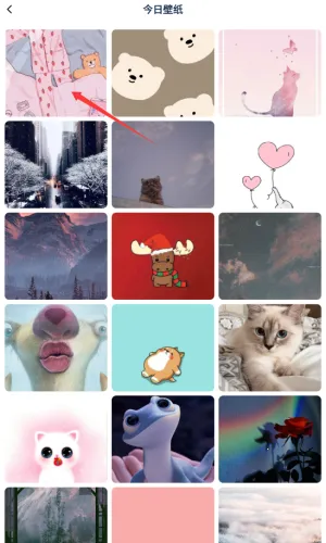 趣岛2025官方正版 趣岛2025官方正版