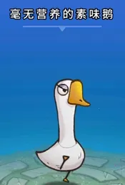 ����(��������Ϸ)
