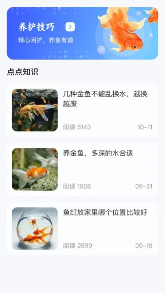 金鱼点点(金鱼知识平台) 金鱼点点(金鱼知识平台)