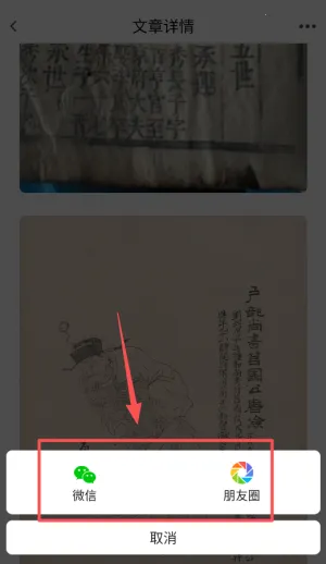 族谱 族谱