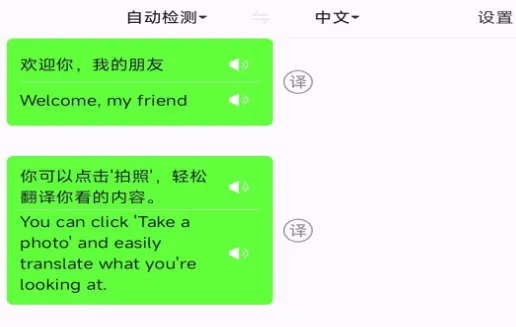 极致语言翻译器 极致语言翻译器