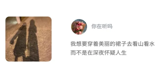 �����罻