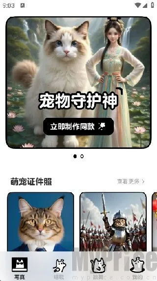 宠历