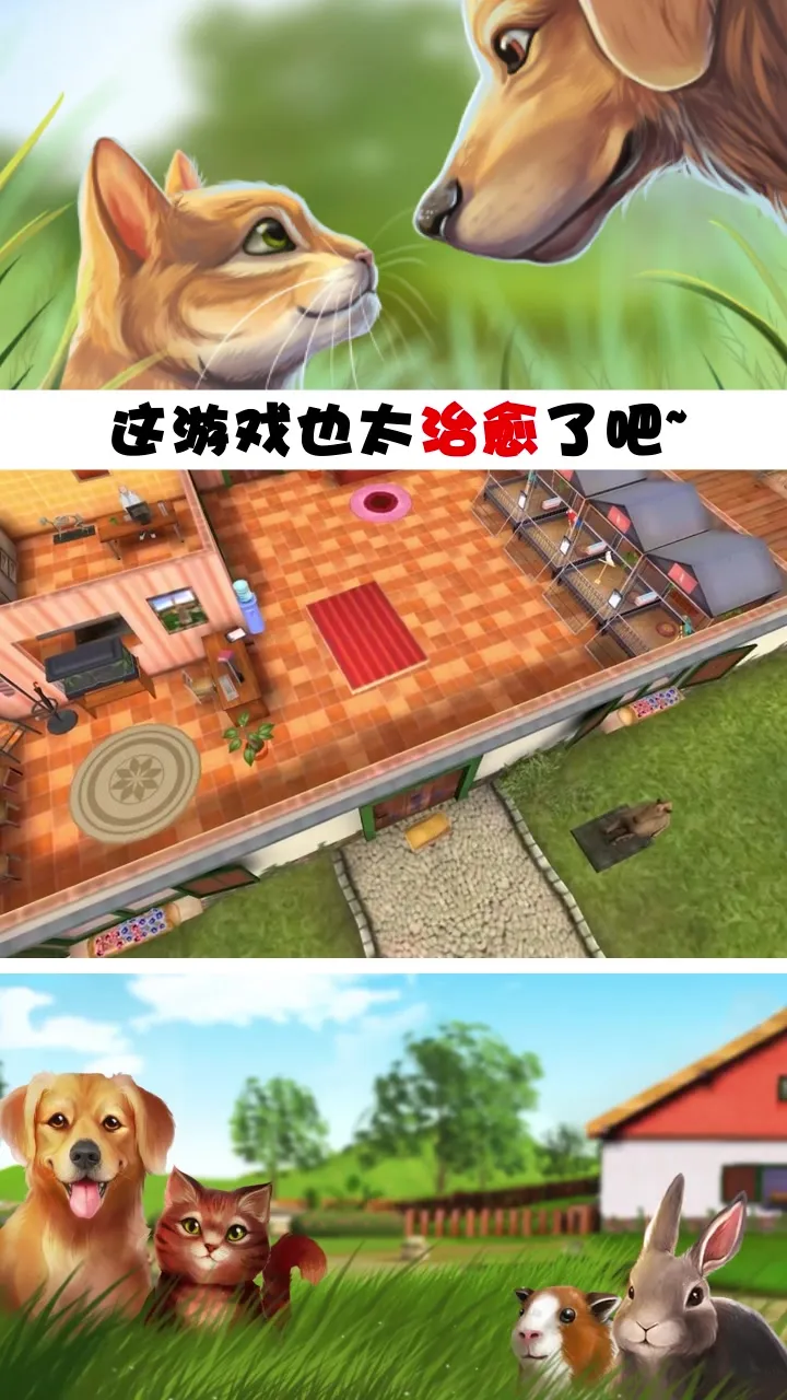 我的动物王国安卓版手机版 我的动物王国安卓版手机版