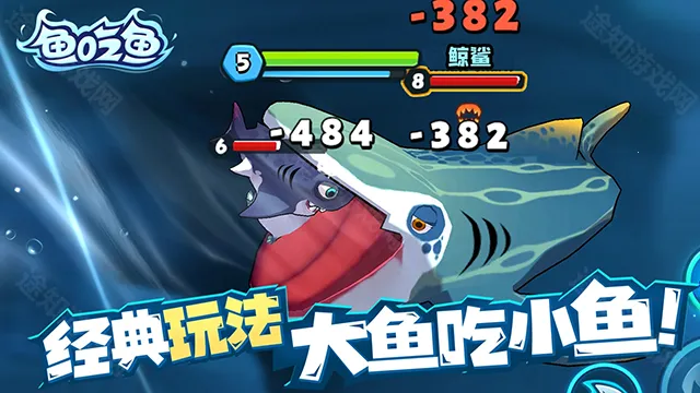鱼吃鱼 鱼吃鱼
