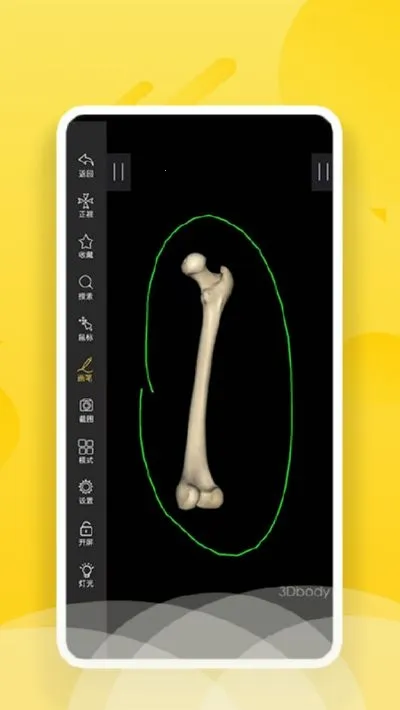 3Dbody����2026�ٷ�����