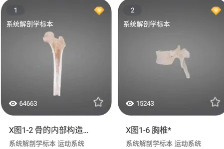 医维度解剖 医维度解剖