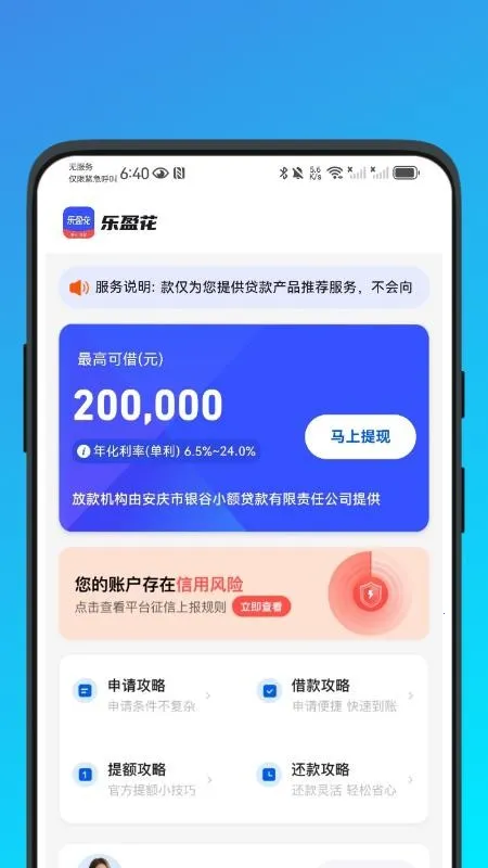 乐盈花 乐盈花