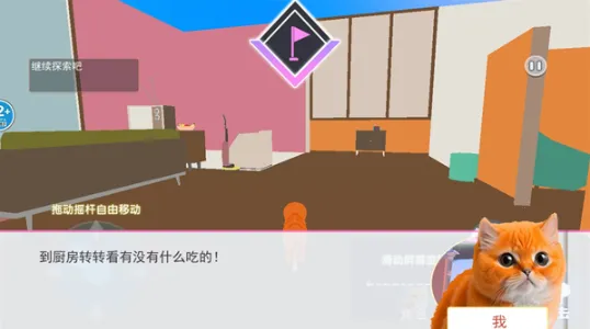 猫咪风云 猫咪风云
