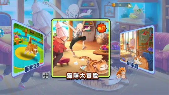 猫咪风云 猫咪风云