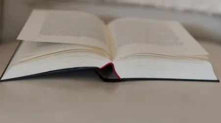 鲨鱼小说 鲨鱼小说