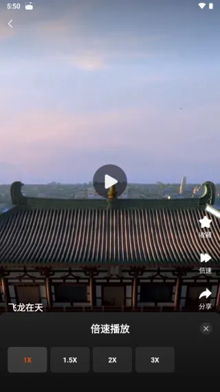 繁花剧场 繁花剧场