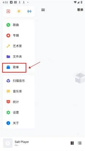 Salt Player(音乐播放器) Salt Player(音乐播放器)