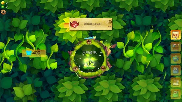 彩翼蝴蝶保护区最新 彩翼蝴蝶保护区最新