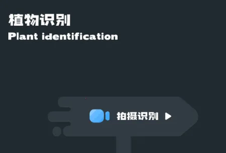 小园丁追剧 小园丁追剧
