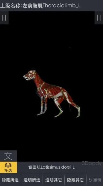3dbody宠物破解版 3dbody宠物破解版