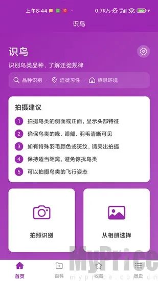 识鸟(鸟类识别工具) 识鸟(鸟类识别工具)