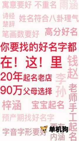 周易八字(起名解名软件) 周易八字(起名解名软件)