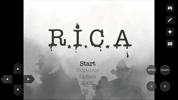 RICA�ֻ���