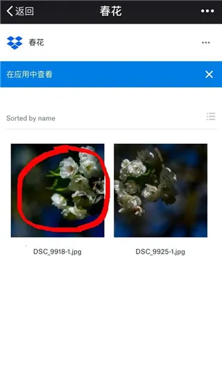 dropbox(云存储办公平台) dropbox(云存储办公平台)