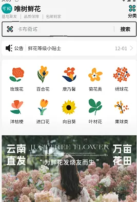 唯树鲜花安卓版手机版 唯树鲜花安卓版手机版