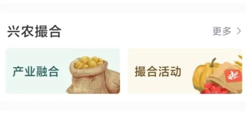 工银兴农通(乡村金融服务平台) 工银兴农通(乡村金融服务平台)