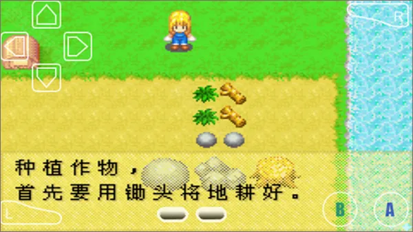 牧场物语女孩(牧场经营汉化游) 牧场物语女孩(牧场经营汉化游)
