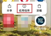 Xe炸图(游戏辅助软件) Xe炸图(游戏辅助软件)