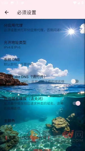 Ѳ��˽��2026���°汾