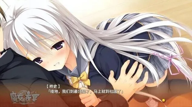 魔女的夜宴冷狐版(恋爱视觉游戏)