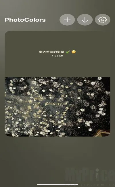 PhotoColors(照片创作平台) PhotoColors(照片创作平台)
