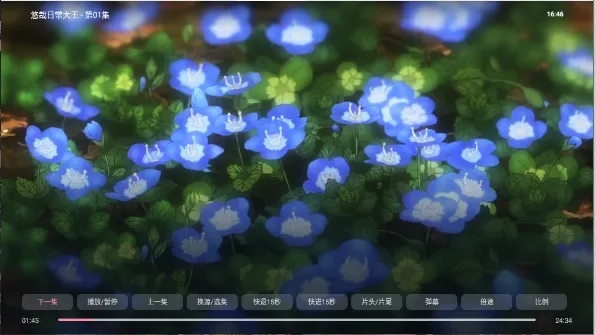 次元咲TV2026最新版本